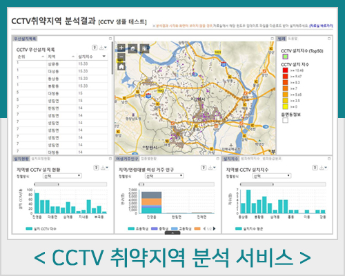 CCTV 취약지역 분석 서비스 화면