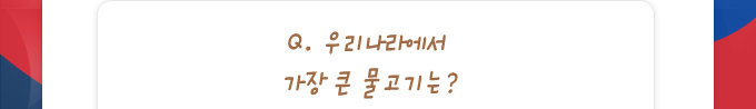 퀴즈: 우리나라에서 가장 큰 물고기는?